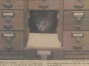 Emily peeking out the card catalog! (First appeared in an '89 issue of The Day.)